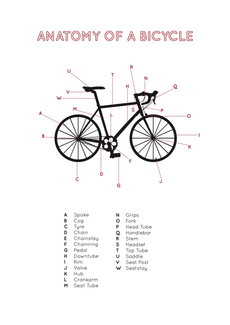 Bike anatomy2