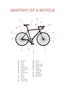 Bike anatomy2